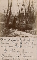 Cheery Creek Cleveland, MN Postcard Postcard Postcard