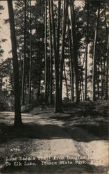 Lind Saddle Trail from Douglas Lodge to Elk Lake Park Rapids, MN Postcard Postcard Postcard