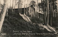 Steps to the Lake, Douglas Lodge, Itasca State Park Postcard