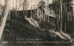 Steps to the Lake, Douglas Lodge, Itasca State Park Park Rapids, MN "Rich" Photo Postcard Postcard Postcard