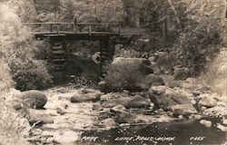 The Babbling Brook, Lindbergh State Park, Little Falls, Minn. Postcard