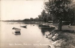 Lake Scene Postcard