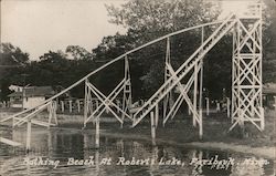 Bathing Beach at Robert Lake Faribault, MN Postcard Postcard Postcard