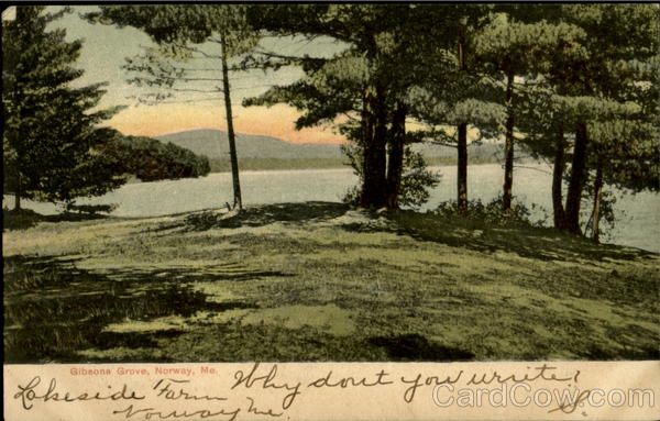 Gibsone Grove Norway Maine