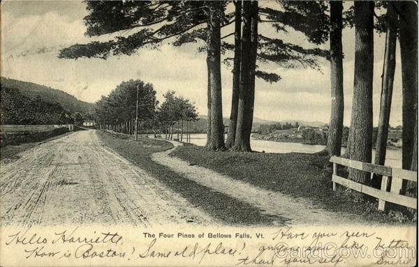 The Four Pines of Bellows Falls Vermont