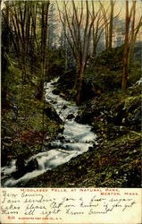 Middlesex Fells , At Natural Park Postcard
