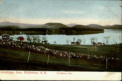 Greeting From Wolferboro Wolfeboro, NH Postcard Postcard