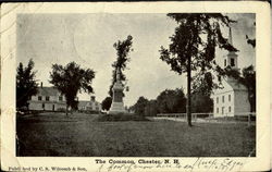 The Common Chester, NH Postcard Postcard