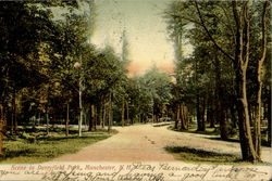 Scene In Derryfield Park Postcard