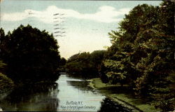 View In Forest Lawn Cemetery Postcard