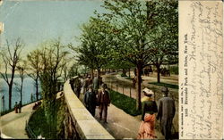 Riverside Park And Drive Postcard