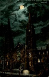 Catholic Cathedral Of The Immacutare Conception Postcard