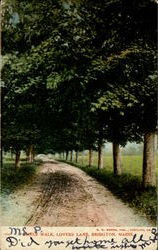 Maple Walk, Lovers' Lane Bridgton, ME Postcard Postcard
