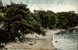 Shore Scene, Greetings From Portland Postcard