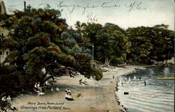 Shore Scene, Greetings From Portland Peak Island, ME Postcard Postcard