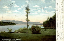 Kennebago Lake Maine Postcard Postcard