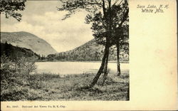 Saco Lake, White Mts Carroll, NH Postcard Postcard