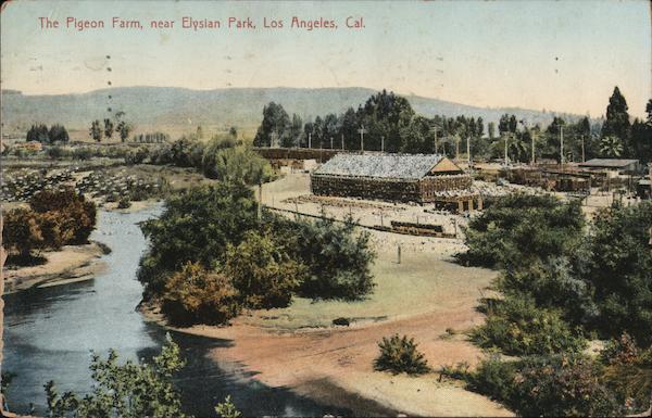 The Pigeon Farm Los Angeles California