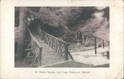 Rustic Bridge, City Park Postcard