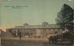 Poultry Show, Nassau Co. Fair Postcard