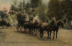 Tally Ho Stage Postcard