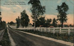 Oiled Kentucky Turnpike showing Stock Farm Paddocks Postcard