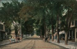 Park Avenue Postcard