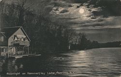 Moonlight on Hammersley Lake Pawling, NY Postcard Postcard Postcard