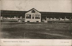 Tuberculosis Sanitarium Iowa City, IA Postcard Postcard Postcard