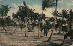 Florida East Coast Railway, Key West Extension, Cocoanut Groves and Cottage on the Keys Along the Line Postcard
