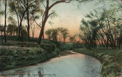 Scene in Regent Park Postcard