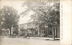 Oak Street looking East Farmington, MN Postcard Postcard Postcard