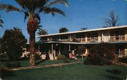 Los Olivos Lodge Postcard