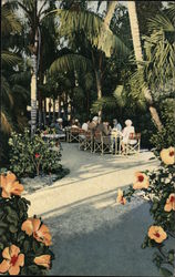 Palm Garden Restaurant Largo, FL Postcard Postcard Postcard