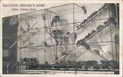 Raccoon Orphan's Home - Iowa State Fair Postcard