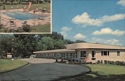 T-Bird Motel Postcard