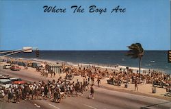 Corner of Las Olas and Atlantic Blvd Postcard