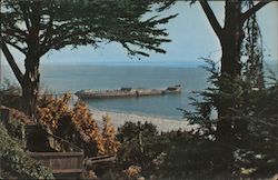 Seacliff State Park Postcard