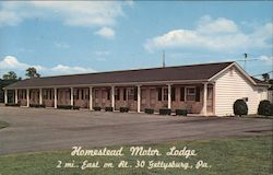 Homestead Motor Lodge Postcard
