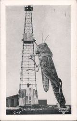 Huge Grasshopper - Oil Well Inspector Postcard