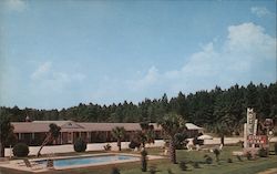 Dixie Dream Motel in the Palms Postcard