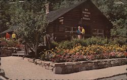 Gift Shop - Made in New Hampshire Crawford Notch, NH Walt Reyelt Postcard Postcard Postcard