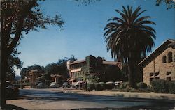 Stanford University Postcard