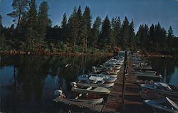 Antlers Resort on Beautiful Shasta Lake Postcard