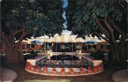 Terrace Patio Restaurant & Cocktail Lounge Postcard