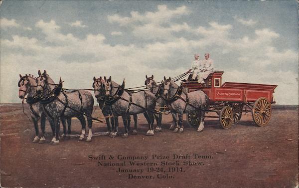 Swift & Company Prize Draft Team National Western Stock Show 1911 Denver Colorado