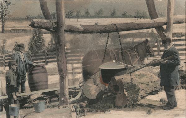 Boiling Sap to Make Maple Sugar Vermont