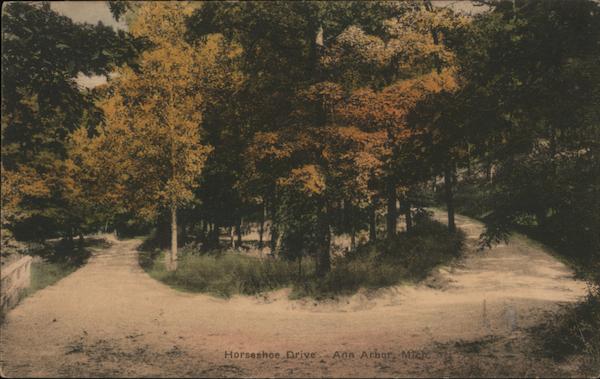 Horseshoe Drive Ann Arbor Michigan