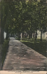 Lovers' Lane - Normal Campus Warrensburg, MO Postcard Postcard Postcard