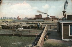 Stock Yards Postcard